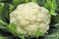 3 Clever Ways to Cook Cauliflower