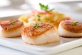 Food Highlight: Scallops