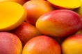 Mango Madness