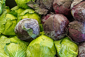 Is Cabbage the New Kale